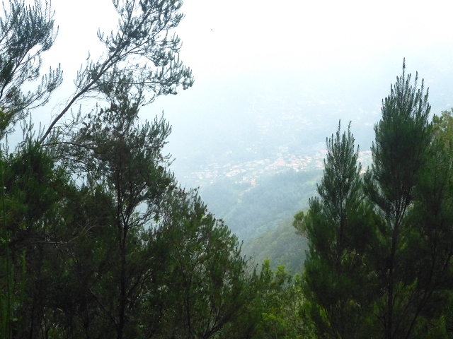 30.07.2014 Estanquinhos, Casa do Caramujo, Levada do Plaino Velho, Estanquinhos — Ao caminho de descida para a Levada do Norte, ou à subida ao Pico Ruivo do Paul — foto 43