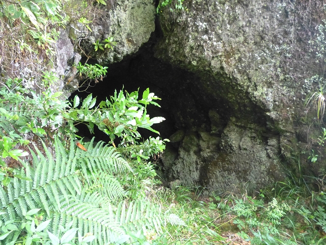 30.07.2014 Estanquinhos, Casa do Caramujo, Levada do Plaino Velho, Estanquinhos — Até ao último túnel antes da Madre — foto 1