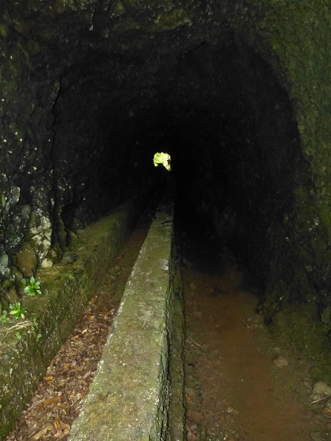 30.07.2014 Estanquinhos, Casa do Caramujo, Levada do Plaino Velho, Estanquinhos — Até ao último túnel antes da Madre — foto 2