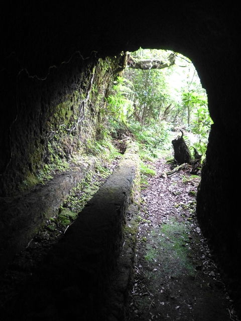 30.07.2014 Estanquinhos, Casa do Caramujo, Levada do Plaino Velho, Estanquinhos — Até ao último túnel antes da Madre — foto 4