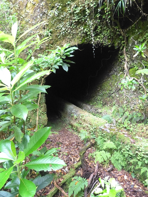 30.07.2014 Estanquinhos, Casa do Caramujo, Levada do Plaino Velho, Estanquinhos — Até ao último túnel antes da Madre — foto 5