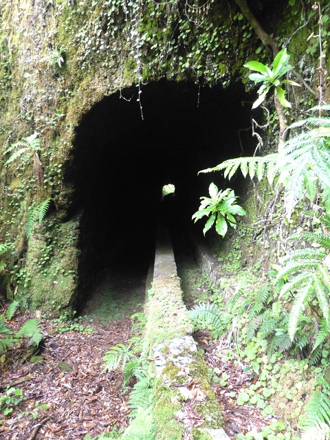 30.07.2014 Estanquinhos, Casa do Caramujo, Levada do Plaino Velho, Estanquinhos — Até ao último túnel antes da Madre — foto 6