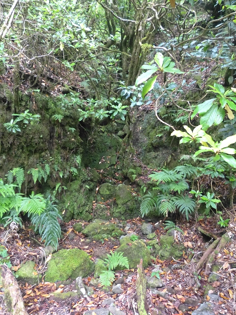 30.07.2014 Estanquinhos, Casa do Caramujo, Levada do Plaino Velho, Estanquinhos — Até ao último túnel antes da Madre — foto 7