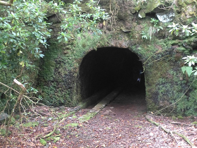 30.07.2014 Estanquinhos, Casa do Caramujo, Levada do Plaino Velho, Estanquinhos — Até ao último túnel antes da Madre — foto 9