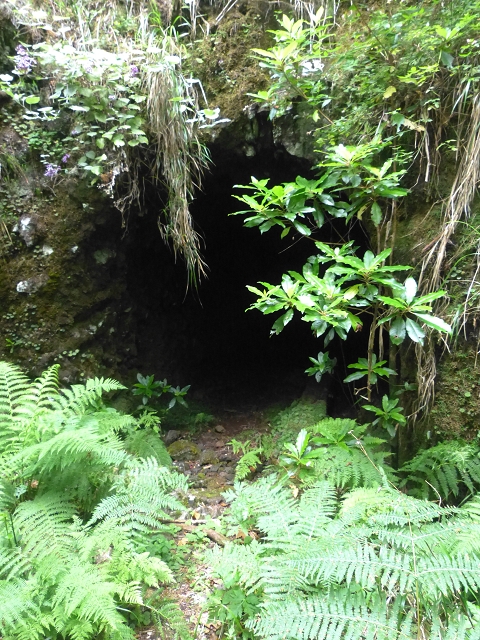 30.07.2014 Estanquinhos, Casa do Caramujo, Levada do Plaino Velho, Estanquinhos — Até ao último túnel antes da Madre — foto 11