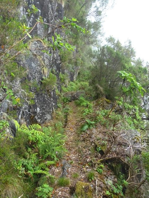 30.07.2014 Estanquinhos, Casa do Caramujo, Levada do Plaino Velho, Estanquinhos — Até ao último túnel antes da Madre — foto 19