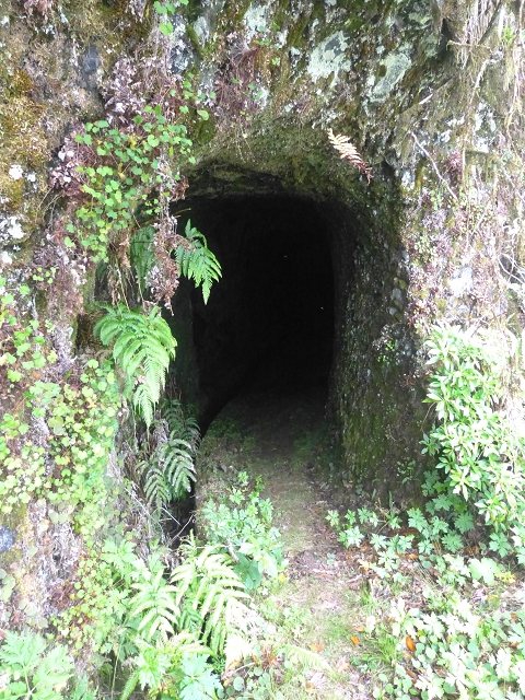 30.07.2014 Estanquinhos, Casa do Caramujo, Levada do Plaino Velho, Estanquinhos — Até ao último túnel antes da Madre — foto 20