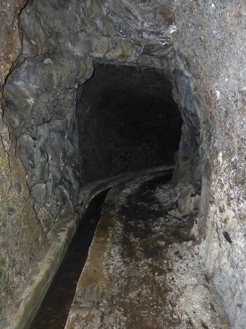 30.07.2014 Estanquinhos, Casa do Caramujo, Levada do Plaino Velho, Estanquinhos — Até ao último túnel antes da Madre — foto 21