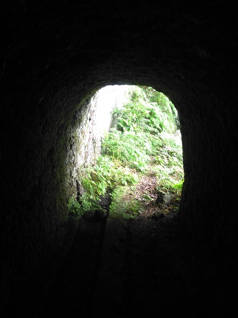 30.07.2014 Estanquinhos, Casa do Caramujo, Levada do Plaino Velho, Estanquinhos — Até ao último túnel antes da Madre — foto 27