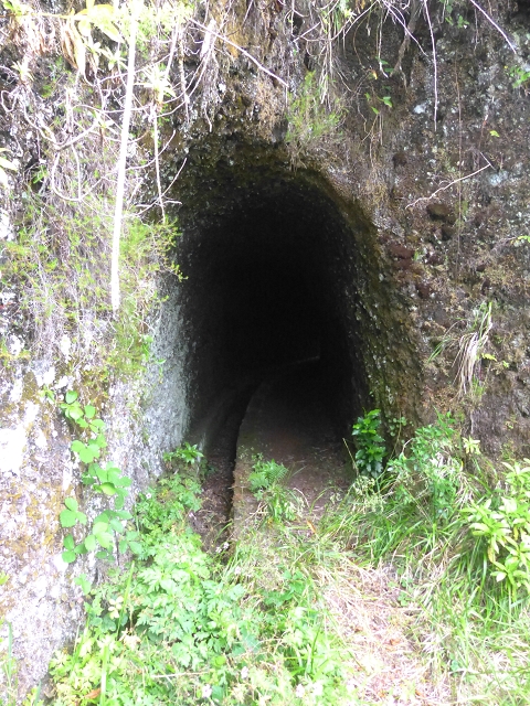 30.07.2014 Estanquinhos, Casa do Caramujo, Levada do Plaino Velho, Estanquinhos — Até ao último túnel antes da Madre — foto 31
