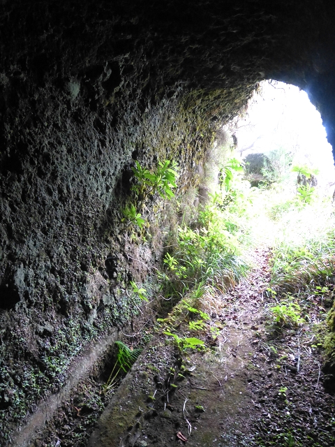 30.07.2014 Estanquinhos, Casa do Caramujo, Levada do Plaino Velho, Estanquinhos — Até ao último túnel antes da Madre — foto 32