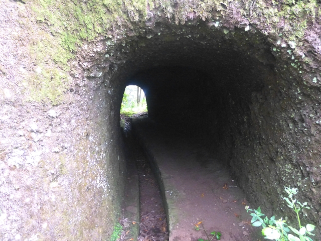 30.07.2014 Estanquinhos, Casa do Caramujo, Levada do Plaino Velho, Estanquinhos — Até ao último túnel antes da Madre — foto 36