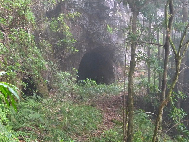 30.07.2014 Estanquinhos, Casa do Caramujo, Levada do Plaino Velho, Estanquinhos — Até ao último túnel antes da Madre — foto 37