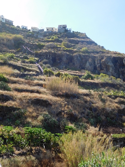 30 July 2015 Calhau da Lapa — Descent to the chapel — photo 10