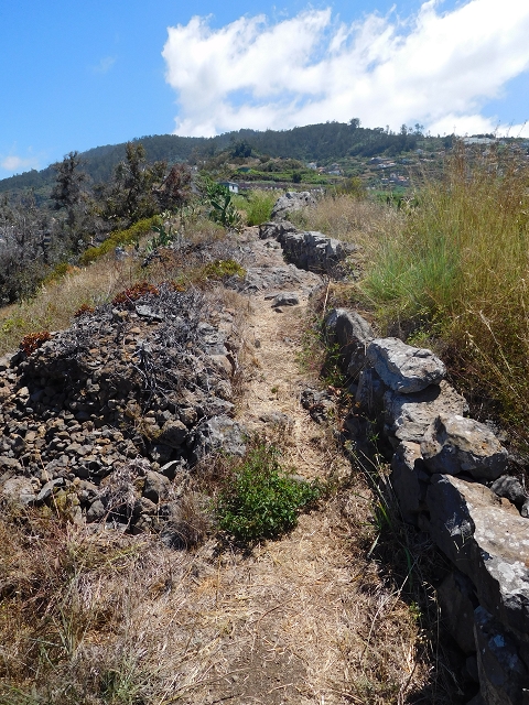 30 July 2015 Calhau da Lapa — Ascent along the cliff — photo 22
