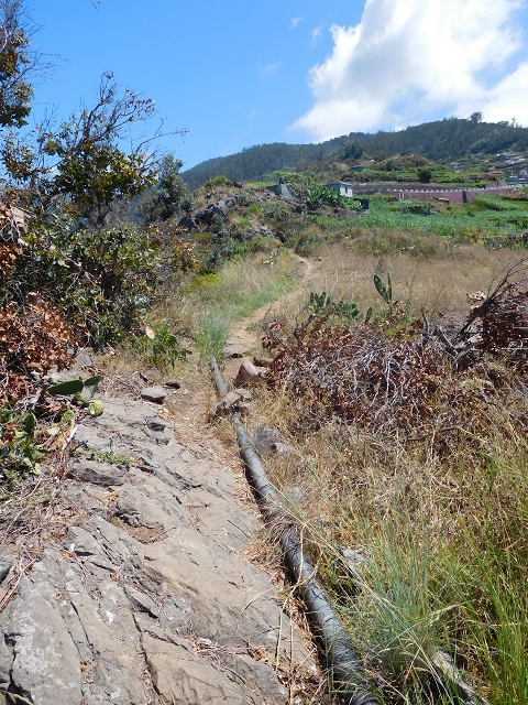30 July 2015 Calhau da Lapa — Ascent along the cliff — photo 24