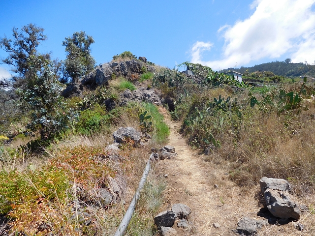 30 July 2015 Calhau da Lapa — Ascent along the cliff — photo 25
