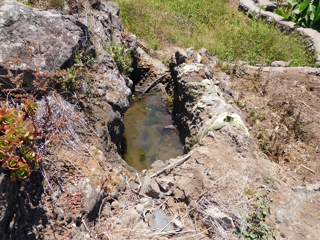 30 July 2015 Calhau da Lapa — Ascent along the cliff — photo 26