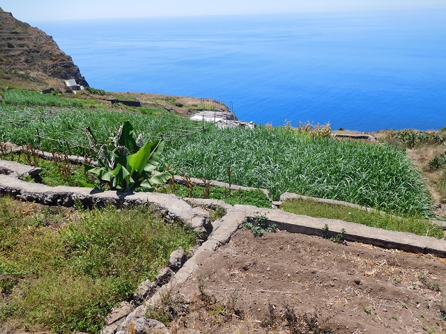 30 July 2015 Calhau da Lapa — Ascent along the cliff — photo 27