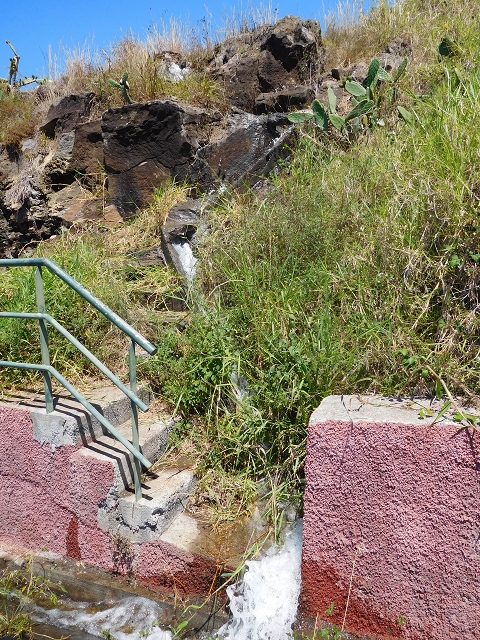 30 July 2015 Calhau da Lapa — Across the road and the fields to the Levada do Norte — photo 3