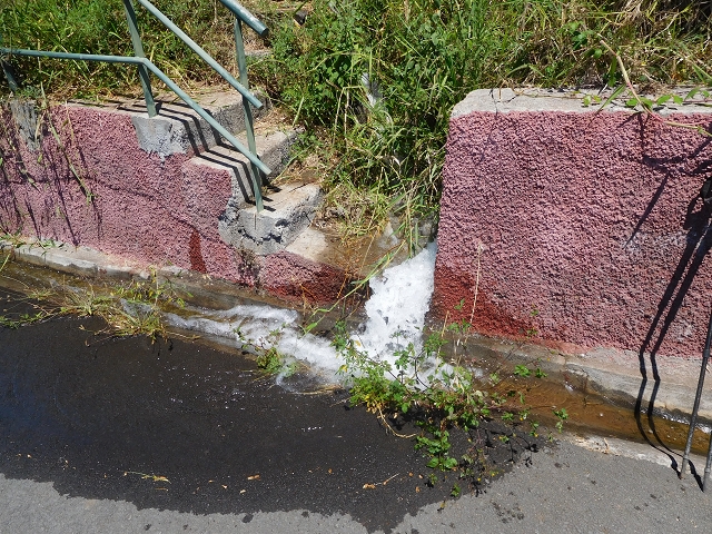 30 July 2015 Calhau da Lapa — Across the road and the fields to the Levada do Norte — photo 4