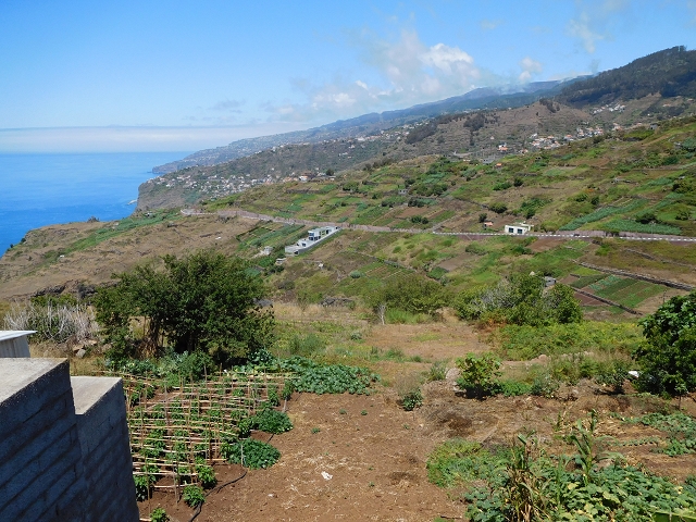 30 July 2015 Calhau da Lapa — Across the road and the fields to the Levada do Norte — photo 7
