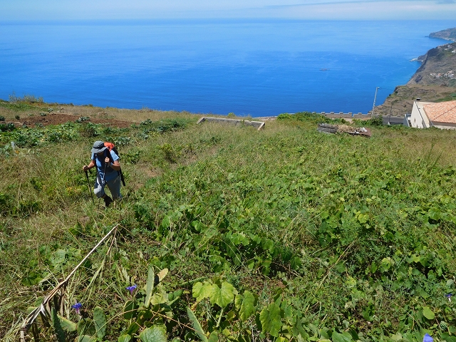 30 July 2015 Calhau da Lapa — Across the road and the fields to the Levada do Norte — photo 9