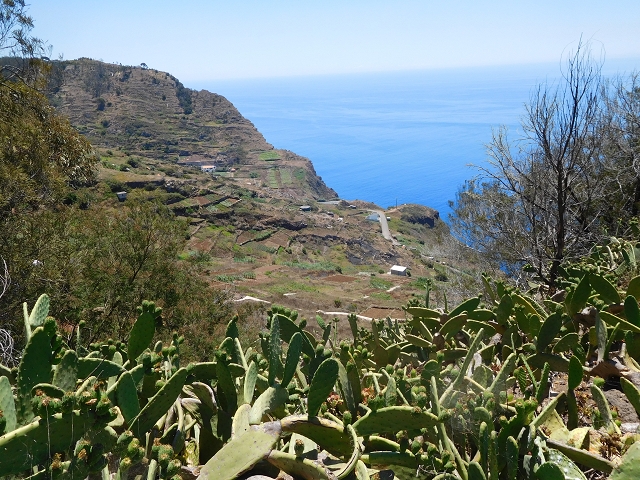 30 July 2015 Calhau da Lapa — Across the road and the fields to the Levada do Norte — photo 12