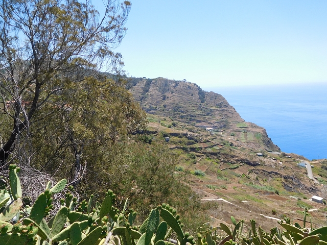 30 July 2015 Calhau da Lapa — Across the road and the fields to the Levada do Norte — photo 13