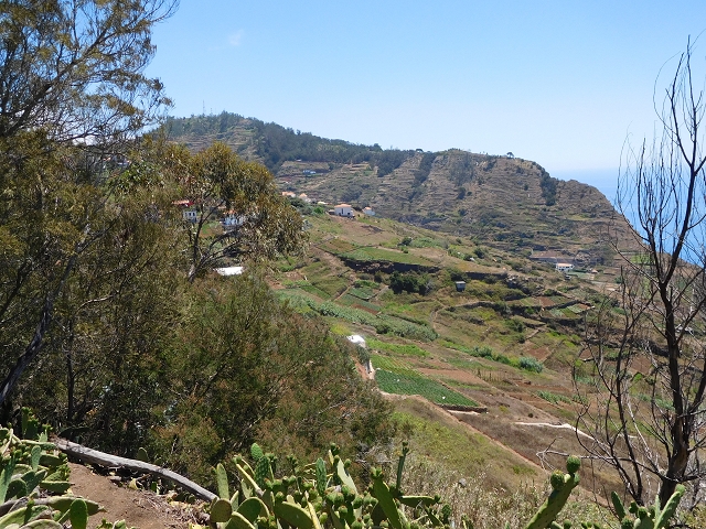 30 July 2015 Calhau da Lapa — Across the road and the fields to the Levada do Norte — photo 14