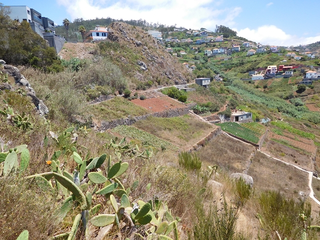 30 July 2015 Calhau da Lapa — Across the road and the fields to the Levada do Norte — photo 16