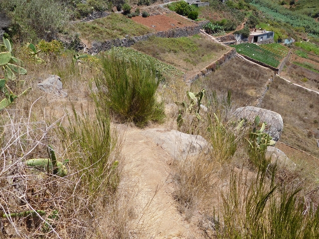30 July 2015 Calhau da Lapa — Across the road and the fields to the Levada do Norte — photo 17