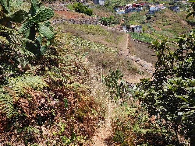 30 July 2015 Calhau da Lapa — Across the road and the fields to the Levada do Norte — photo 18