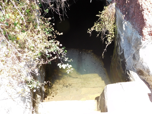 30 July 2015 Calhau da Lapa — Across the road and the fields to the Levada do Norte — photo 20