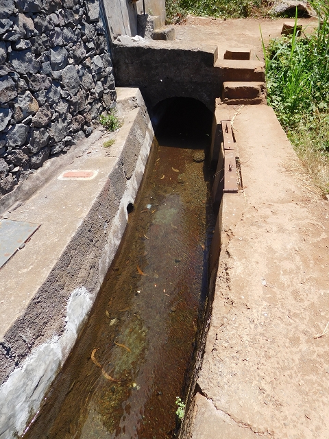 30 July 2015 Calhau da Lapa — On the Levada do Norte — photo 1