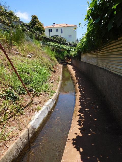 30 July 2015 Calhau da Lapa — On the Levada do Norte — photo 2