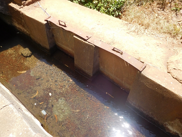 30 July 2015 Calhau da Lapa — On the Levada do Norte — photo 5