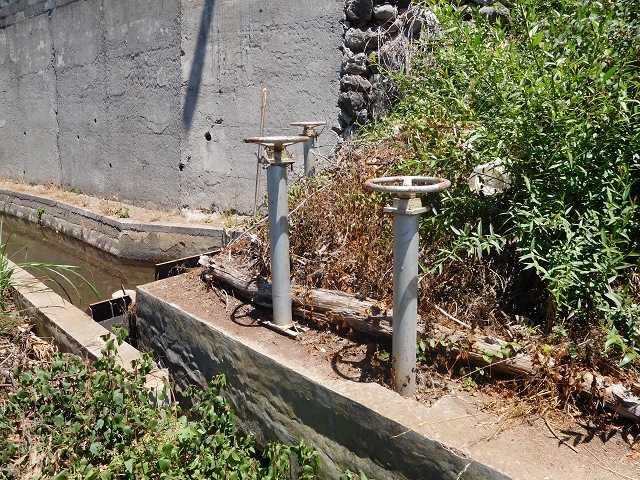 30 July 2015 Calhau da Lapa — On the Levada do Norte — photo 6