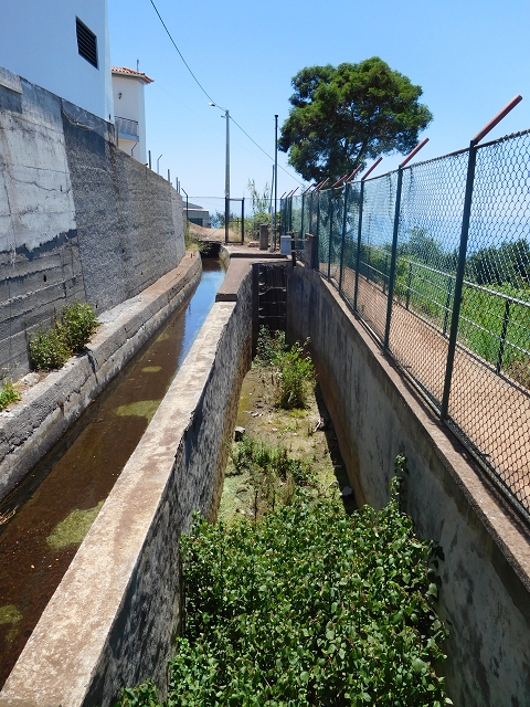 30 July 2015 Calhau da Lapa — On the Levada do Norte — photo 7