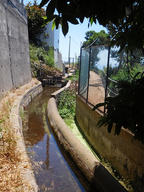 30 July 2015 Calhau da Lapa — On the Levada do Norte — photo 9