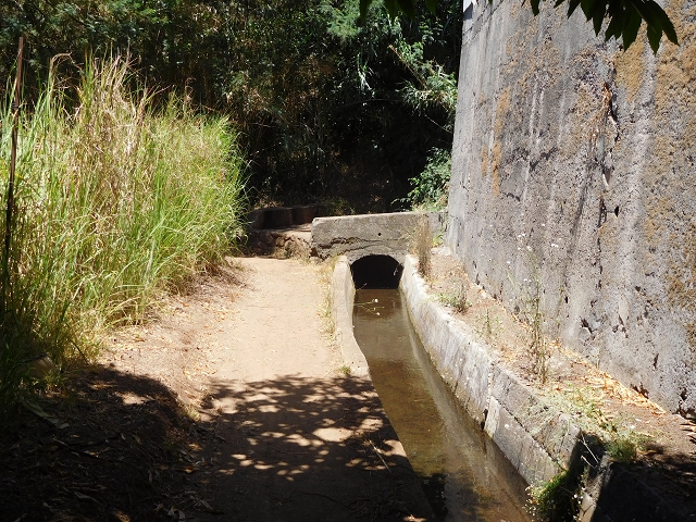 30 July 2015 Calhau da Lapa — On the Levada do Norte — photo 10