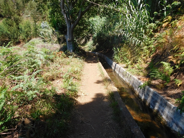 30 July 2015 Calhau da Lapa — On the Levada do Norte — photo 12