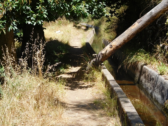 30 July 2015 Calhau da Lapa — On the Levada do Norte — photo 14