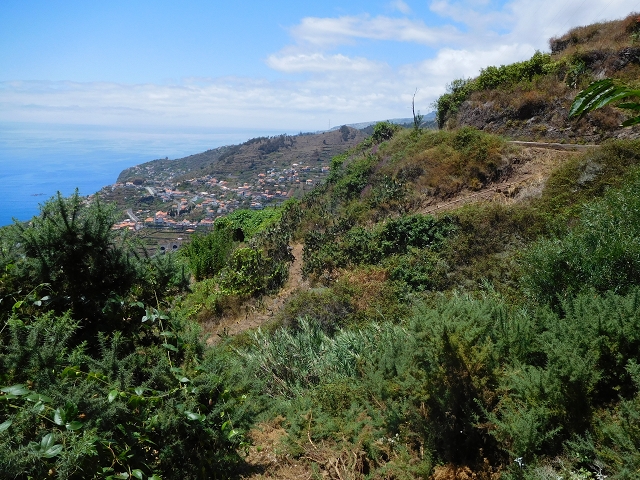 30 July 2015 Calhau da Lapa — On the Levada do Norte — photo 15