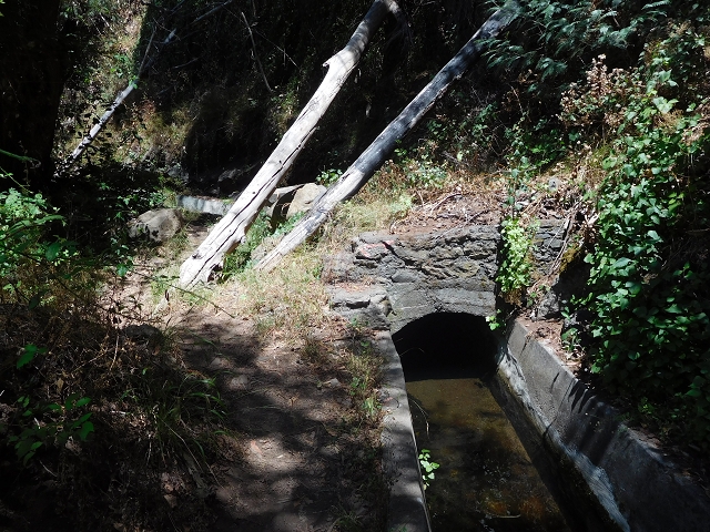 30 July 2015 Calhau da Lapa — On the Levada do Norte — photo 16