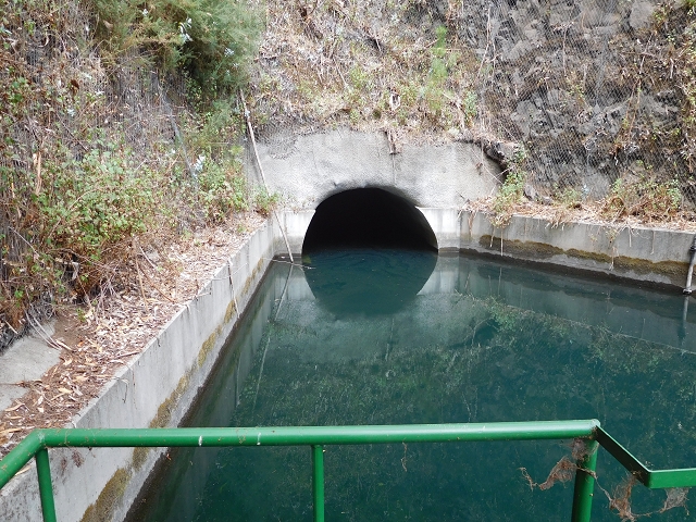 30 July 2015 Calhau da Lapa — On the Levada do Norte — photo 23