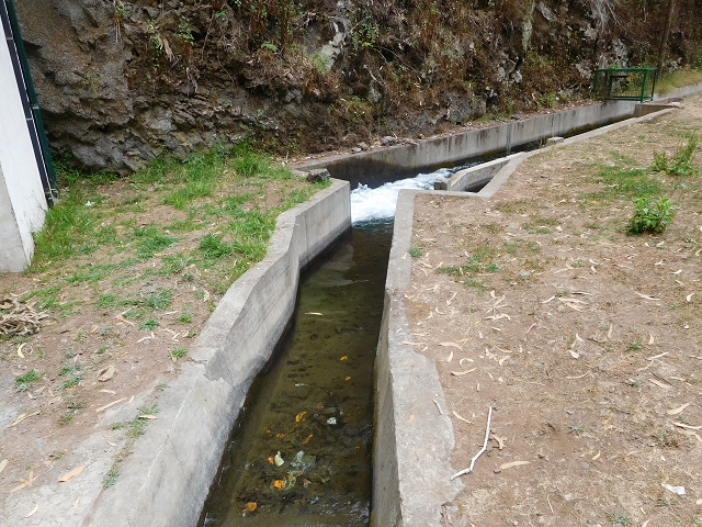 30 July 2015 Calhau da Lapa — On the Levada do Norte — photo 26