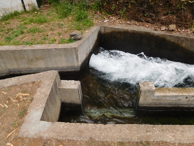 30 July 2015 Calhau da Lapa — On the Levada do Norte — photo 27