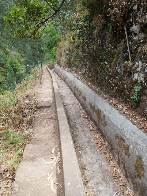 30 July 2015 Calhau da Lapa — On the Levada do Norte — photo 29