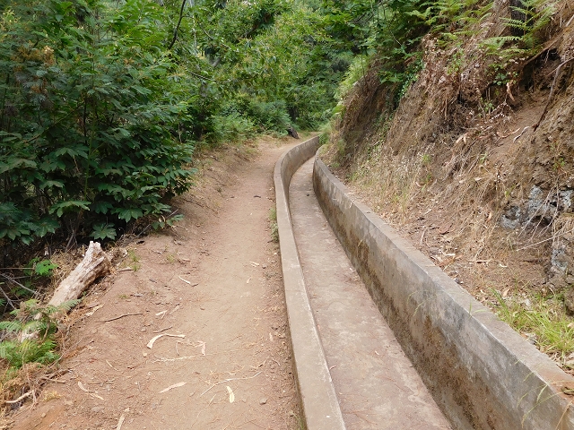 30 July 2015 Calhau da Lapa — On the Levada do Norte — photo 30